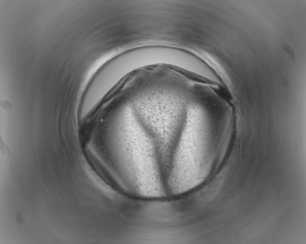 X0000090631238200708071239