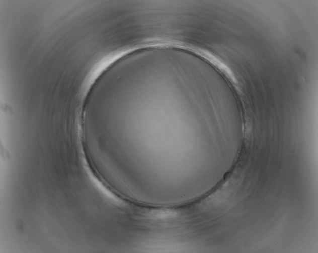 X0000090631239200708071239