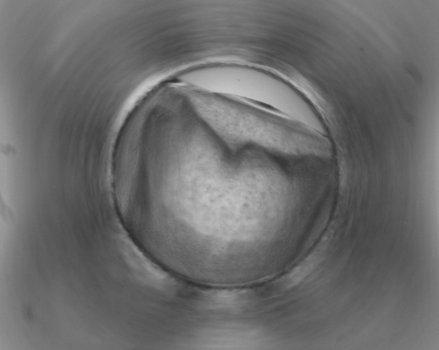 X0000090631240200708071239