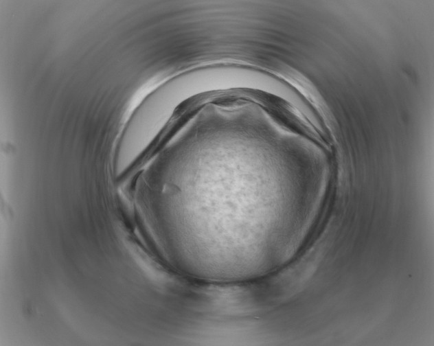 X0000090631242200708071239