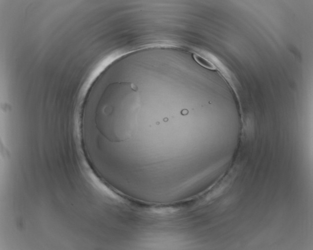 X0000090631243200708071239