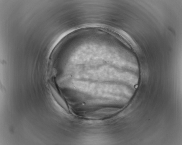 X0000090631244200708071239