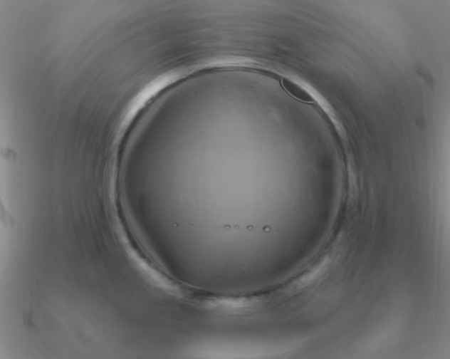 X0000090631245200708071239