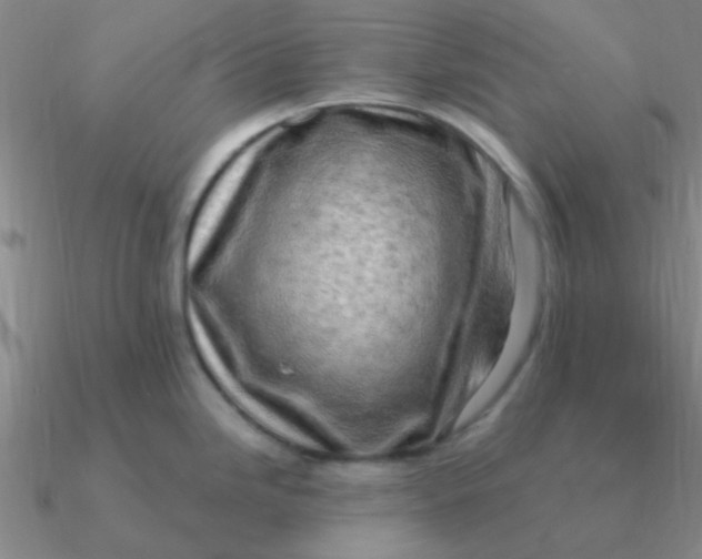 X0000090631246200708071239