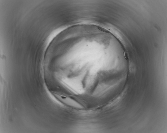 X0000090631247200708071239