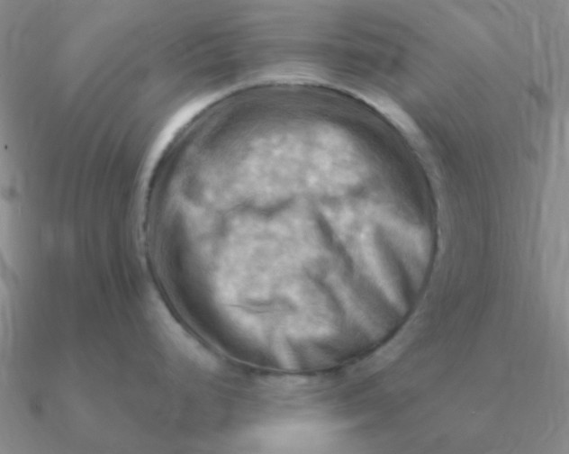 X0000090631248200708071239