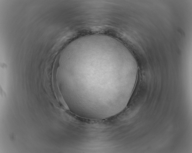 X0000090631249200708071238