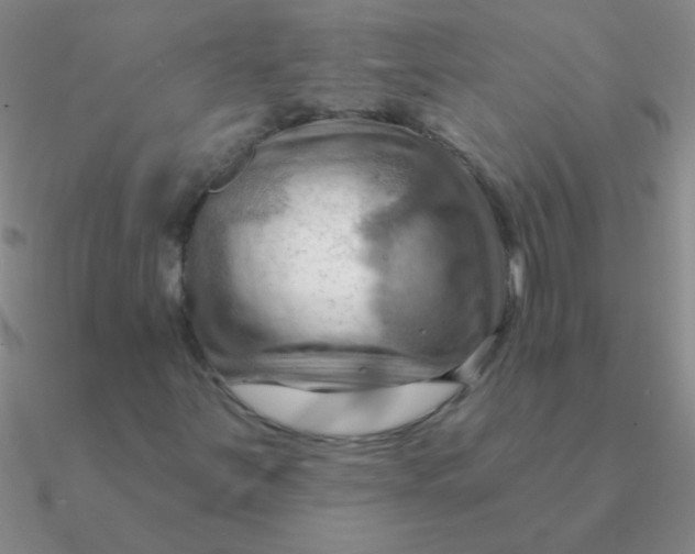 X0000090631251200708071238