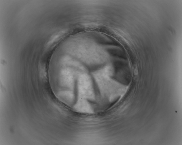 X0000090631252200708071238