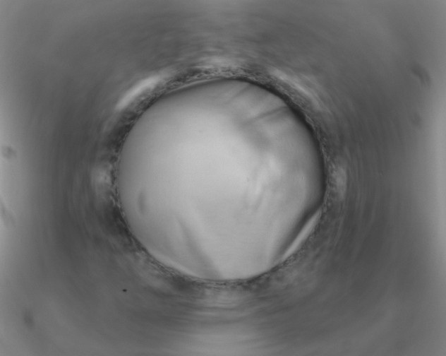 X0000090631254200708071238