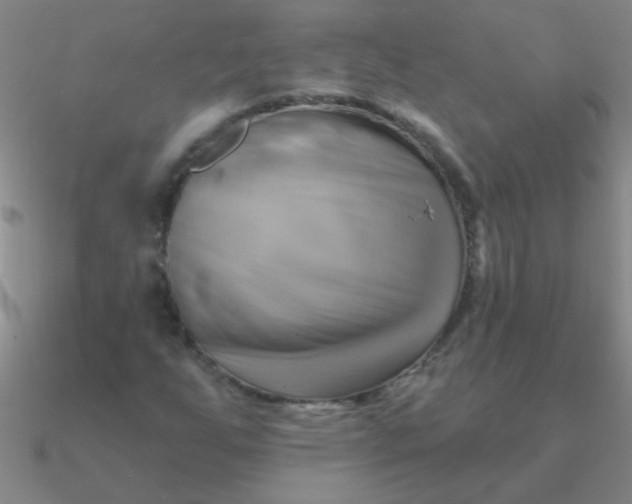 X0000090631255200708071238