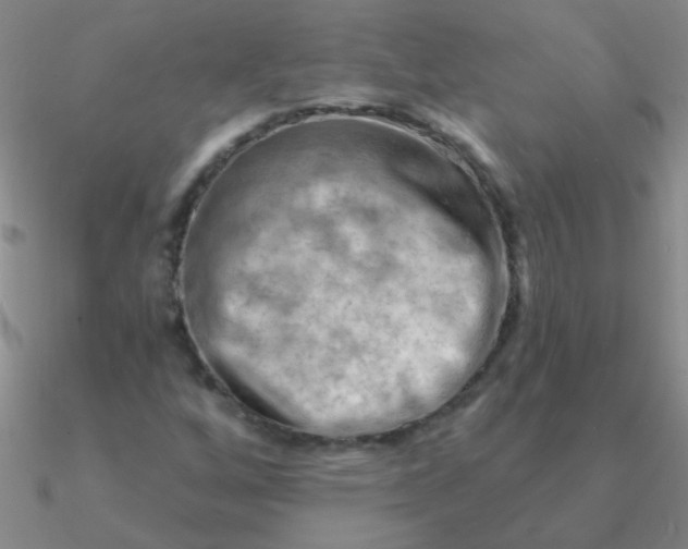 X0000090631256200708071238