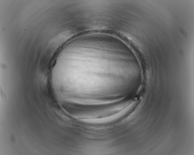 X0000090631257200708071238