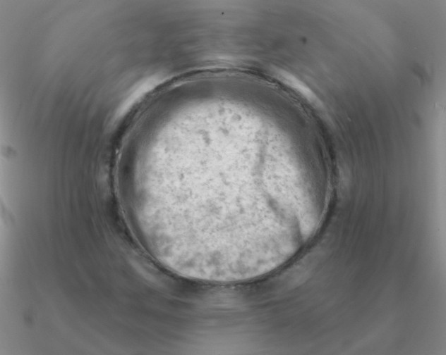 X0000090631259200708071238