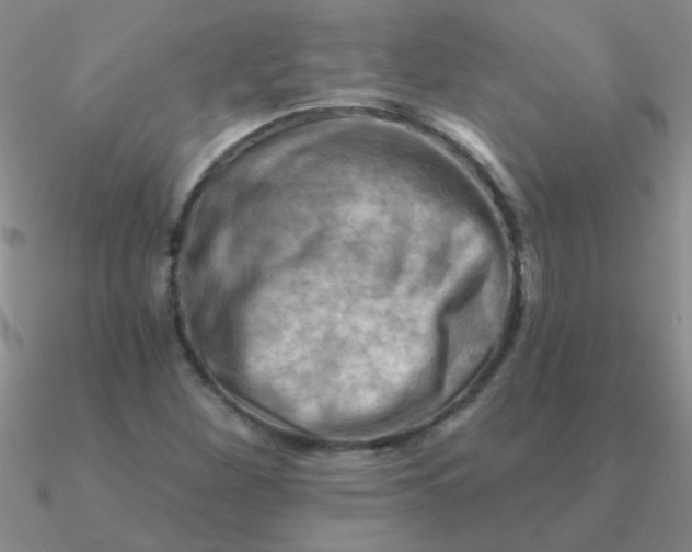 X0000090631260200708071238