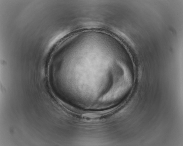 X0000090631261200708071238