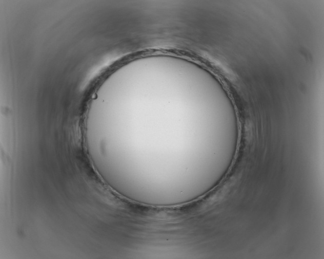 X0000090631262200708071238