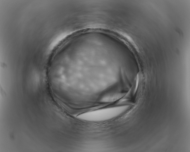 X0000090631263200708071238