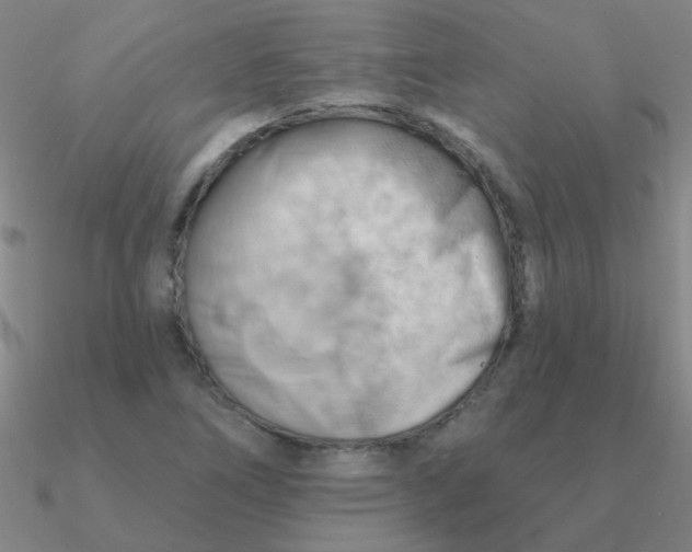 X0000090631266200708071238