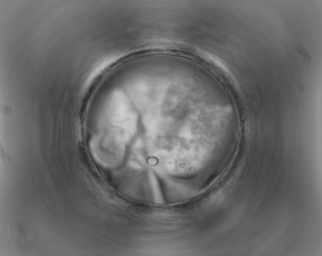 X0000090631267200708071238