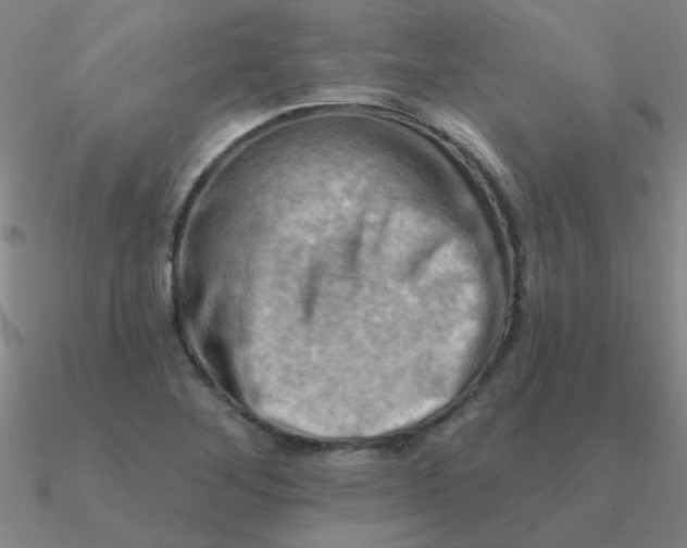 X0000090631268200708071238