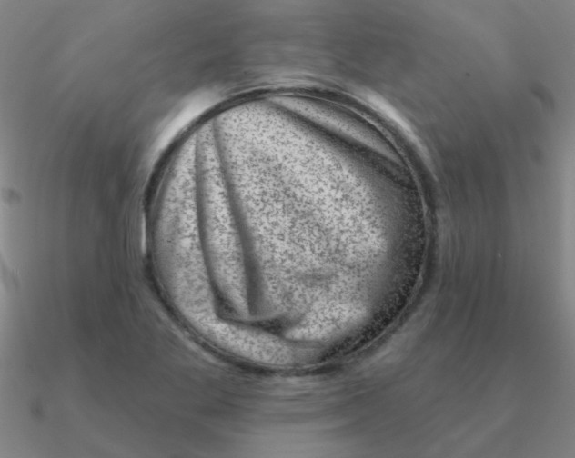 X0000090631269200708071238