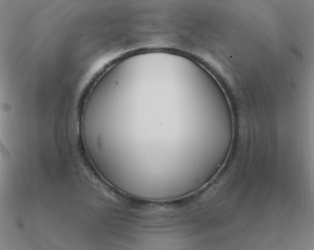 X0000090631270200708071238