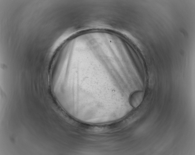 X0000090631271200708071238