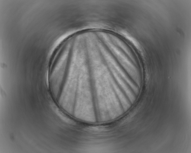 X0000090631272200708071238