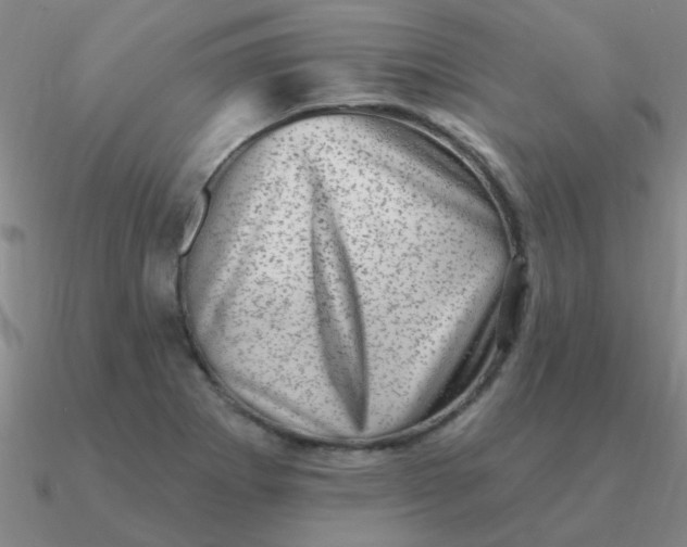 X0000090631273200708071238