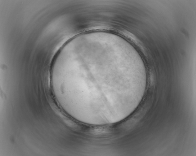 X0000090631274200708071238