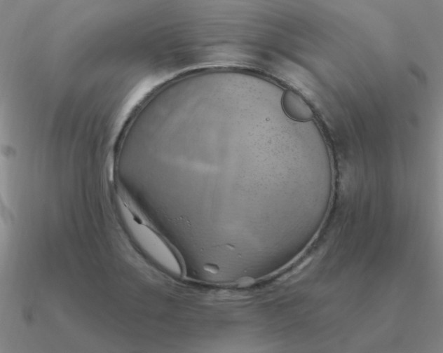 X0000090631275200708071238