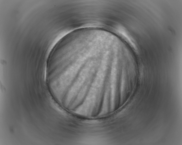 X0000090631276200708071238