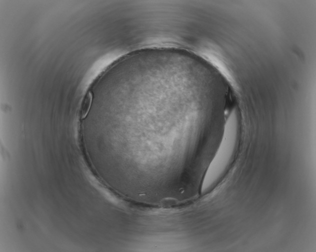 X0000090631277200708071238