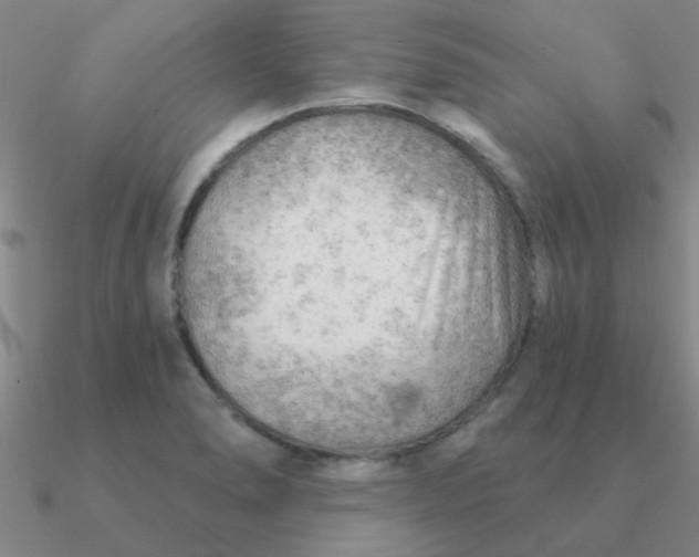 X0000090631278200708071238