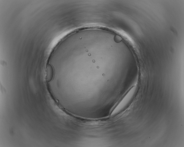 X0000090631279200708071238