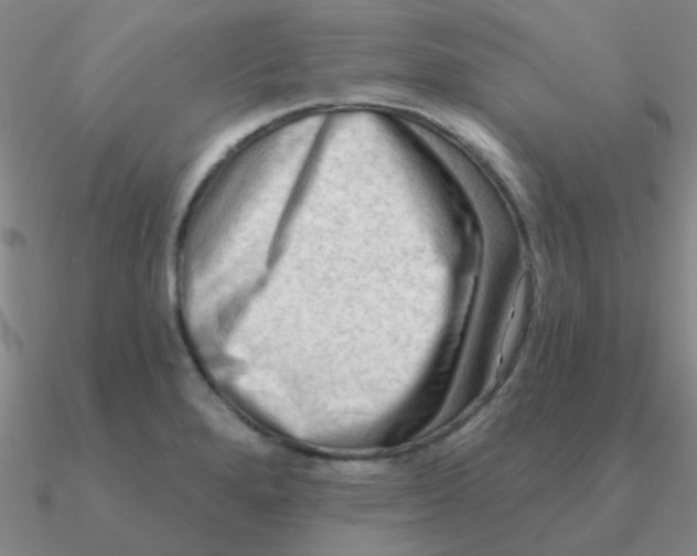 X0000090631280200708071238