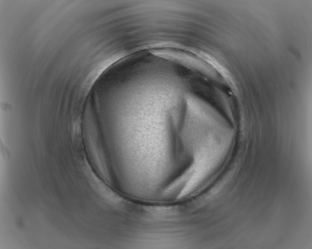 X0000090631281200708071238