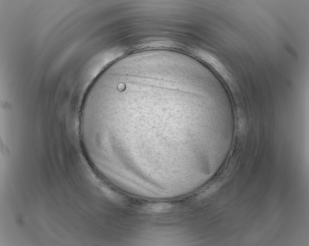 X0000090631282200708071238