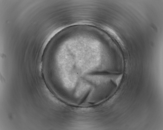 X0000090631284200708071238