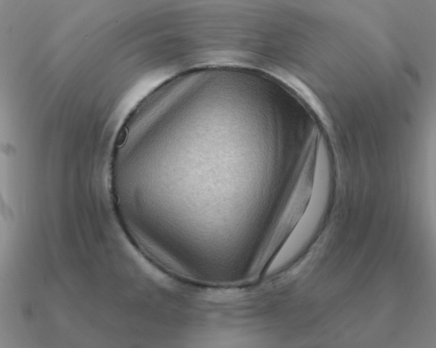 X0000090631285200708071238