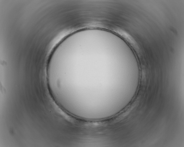 X0000090631286200708071238