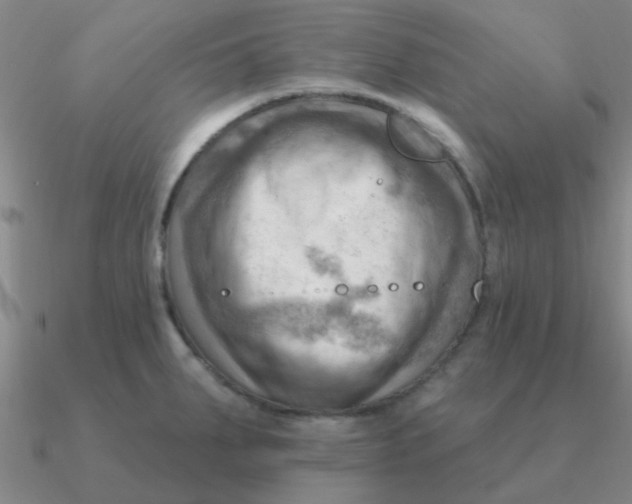 X0000090631287200708071238