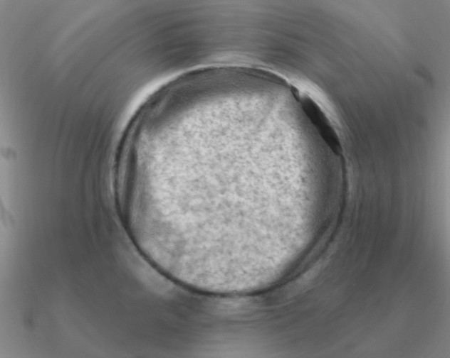 X0000090631288200708071238