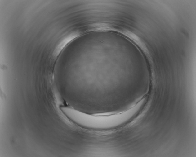 X0000090631289200708071238