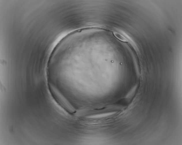 X0000090631291200708071238