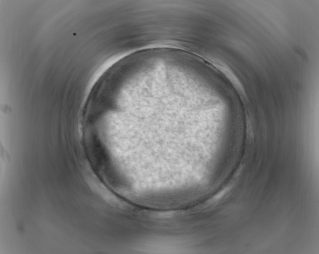 X0000090631292200708071238