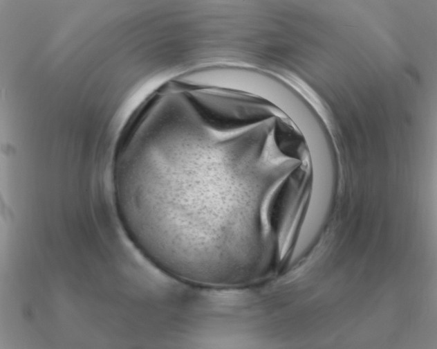 X0000090631293200708071238