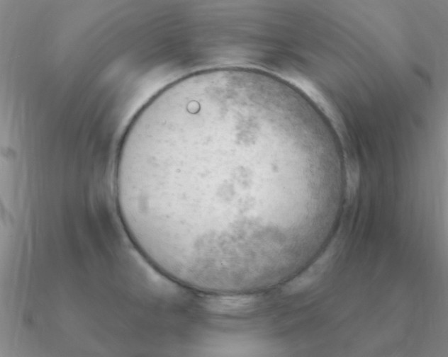 X0000090631294200708071238