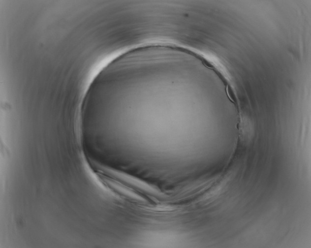 X0000090631295200708071238